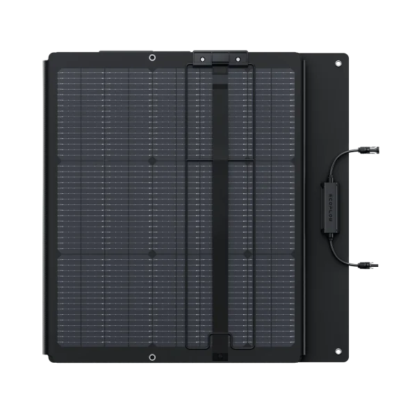 EcoFlow NextGen 220W